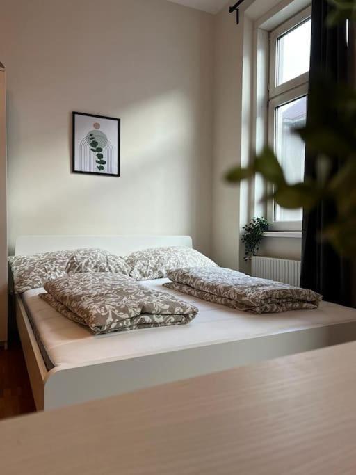90 M2 Spacious With Free Parking * Vienna