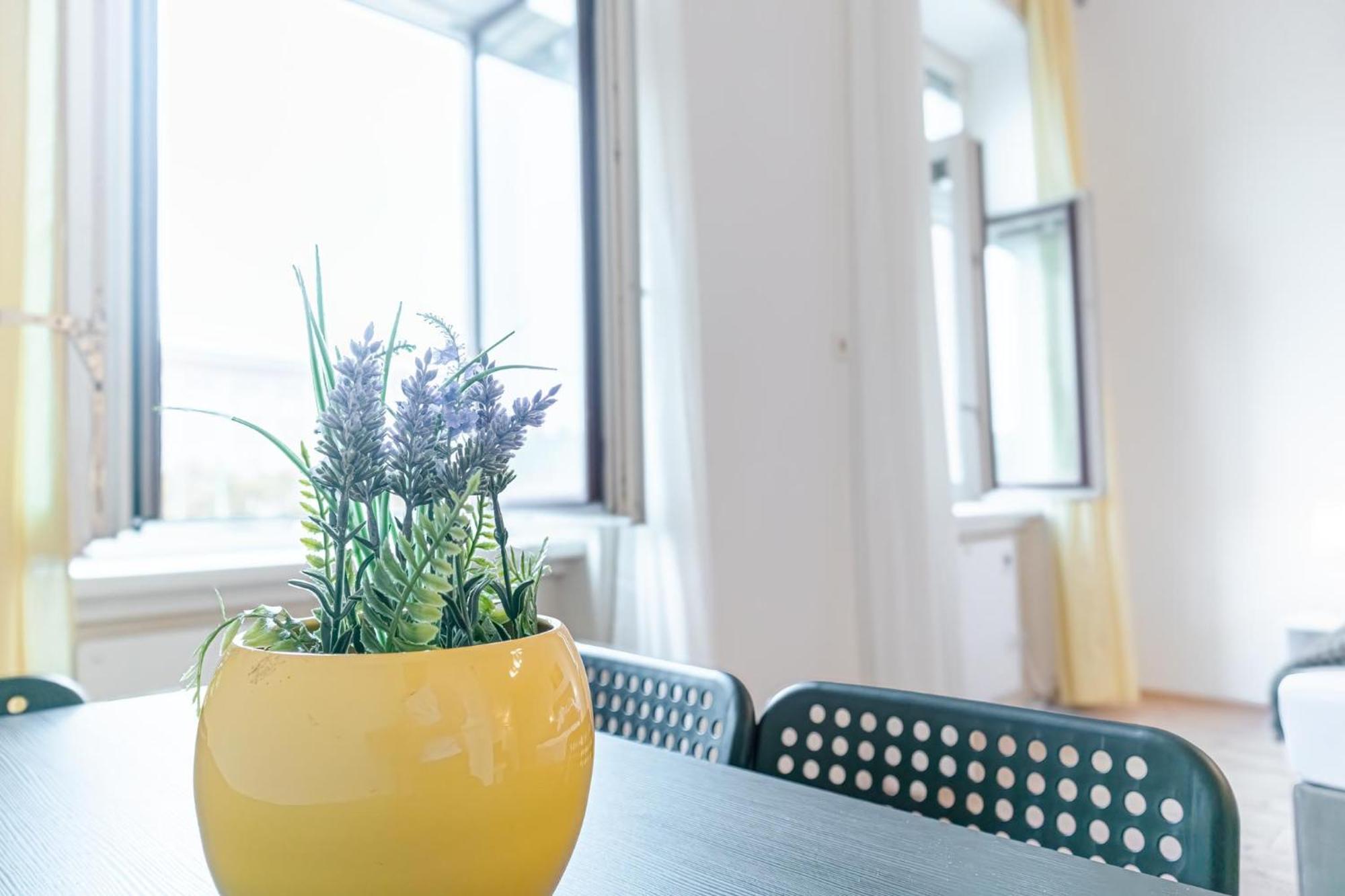 Attractive 2br Near Akh Ideal For Longstays Wien