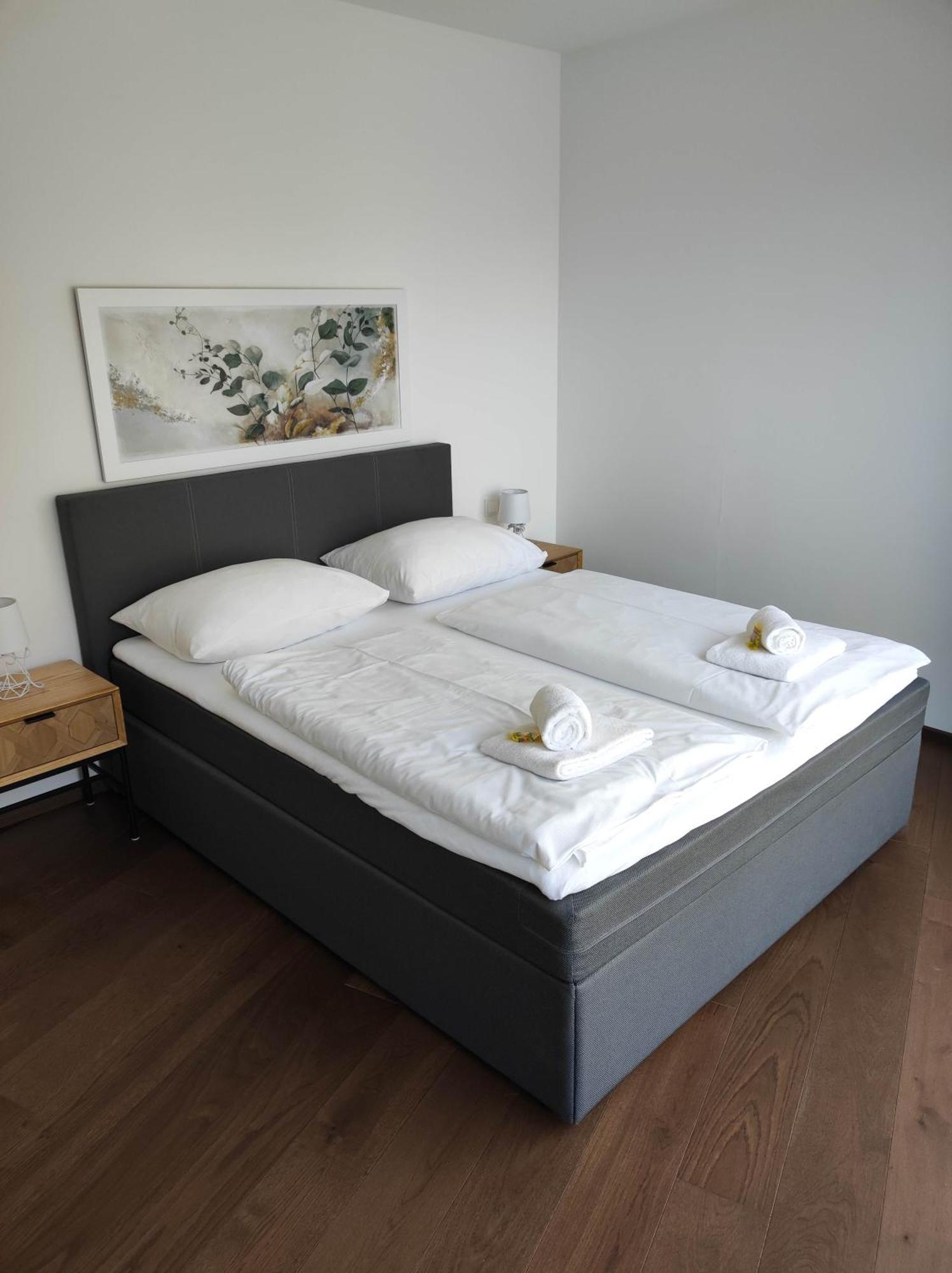 Luxus Penthouse Gegenueber International Centre Und Kaiserwasser *