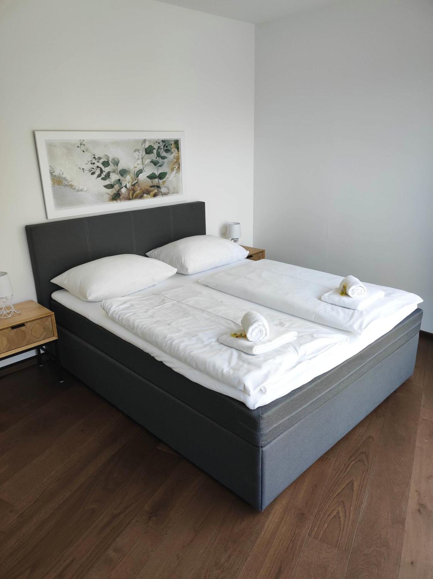 Luxus Penthouse Gegenueber International Centre Und Kaiserwasser *