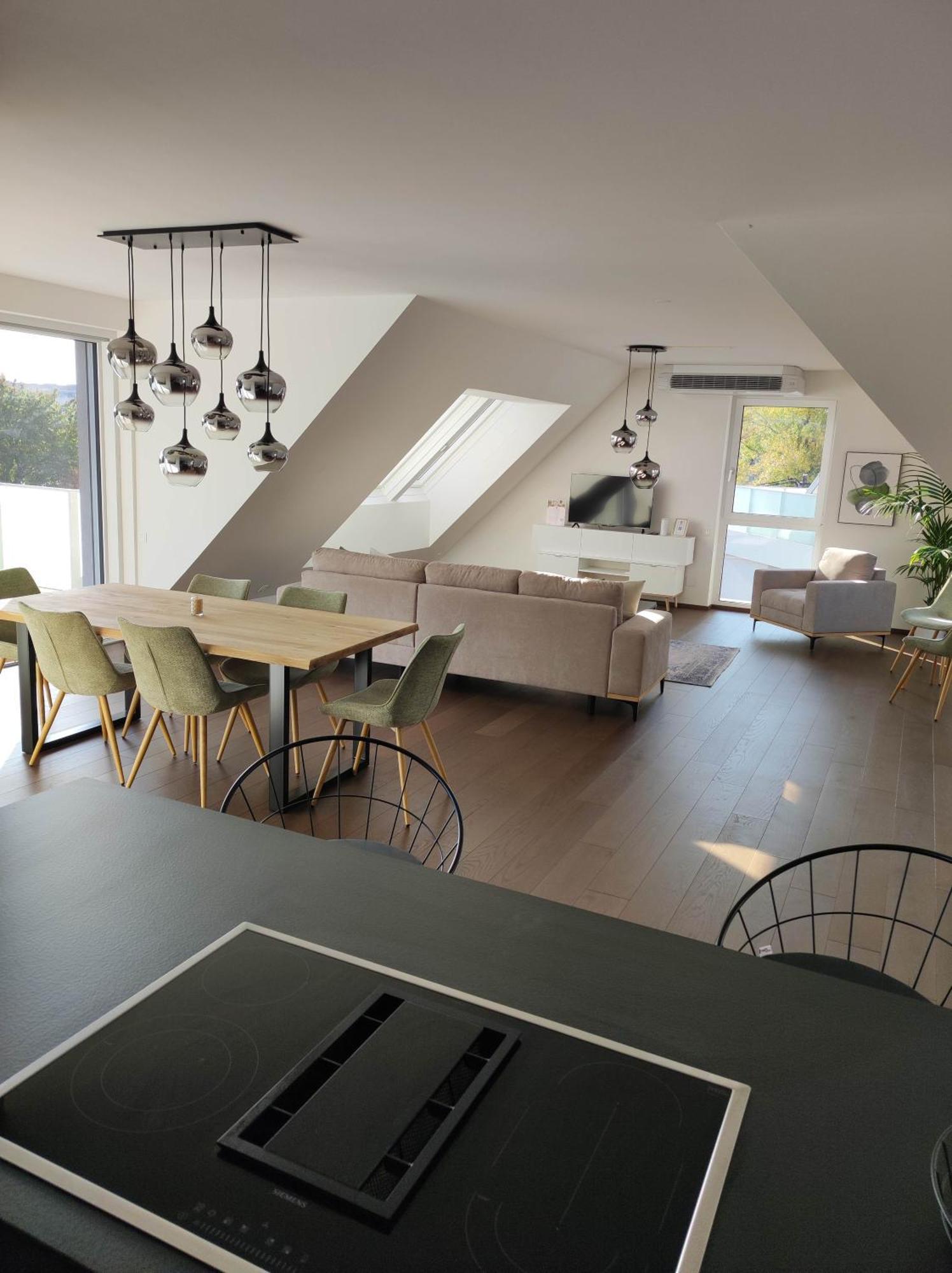 Luxus Penthouse Gegenueber International Centre Und Kaiserwasser Apartment