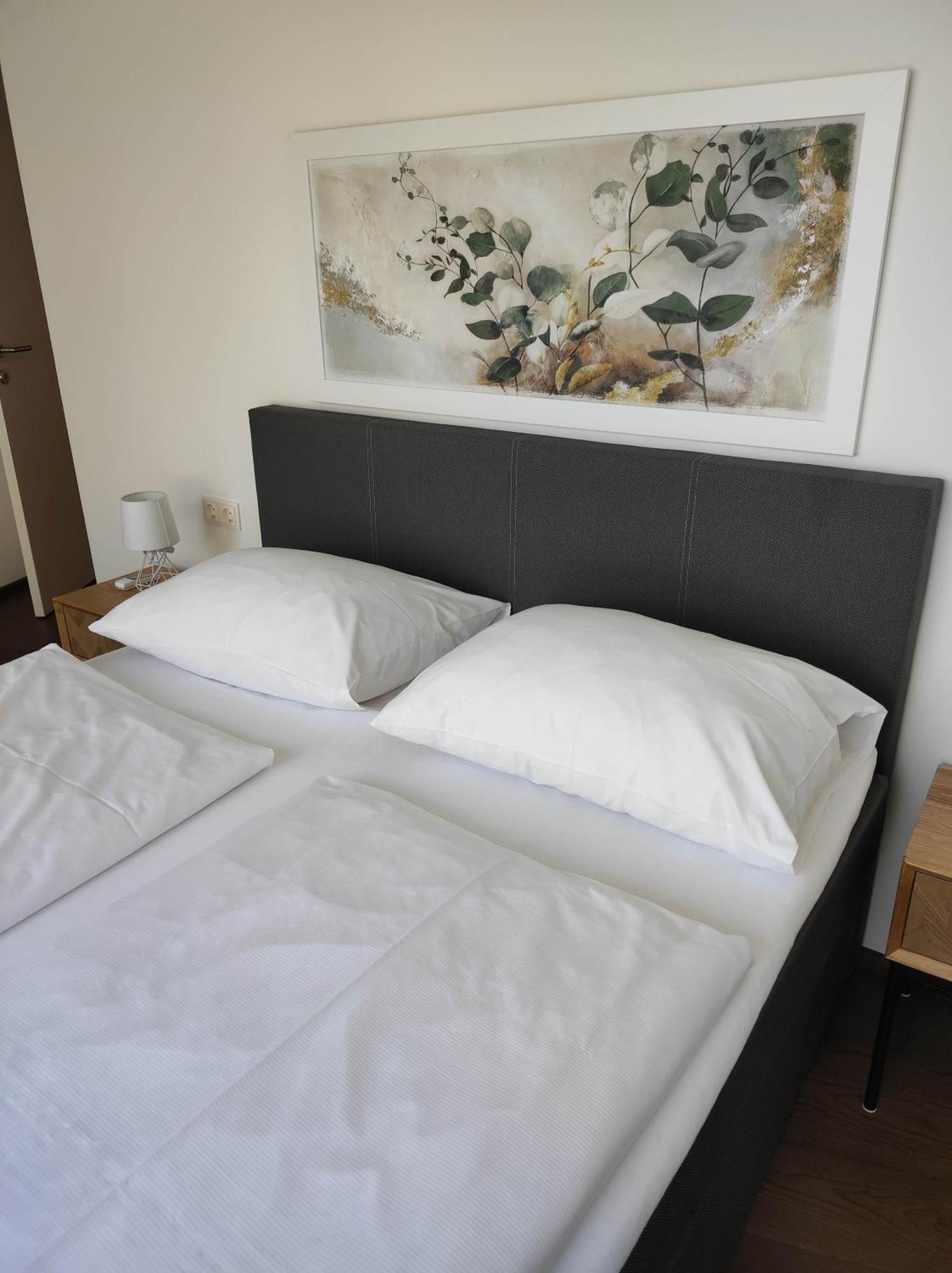 Luxus Penthouse Gegenueber International Centre Und Kaiserwasser Apartment *