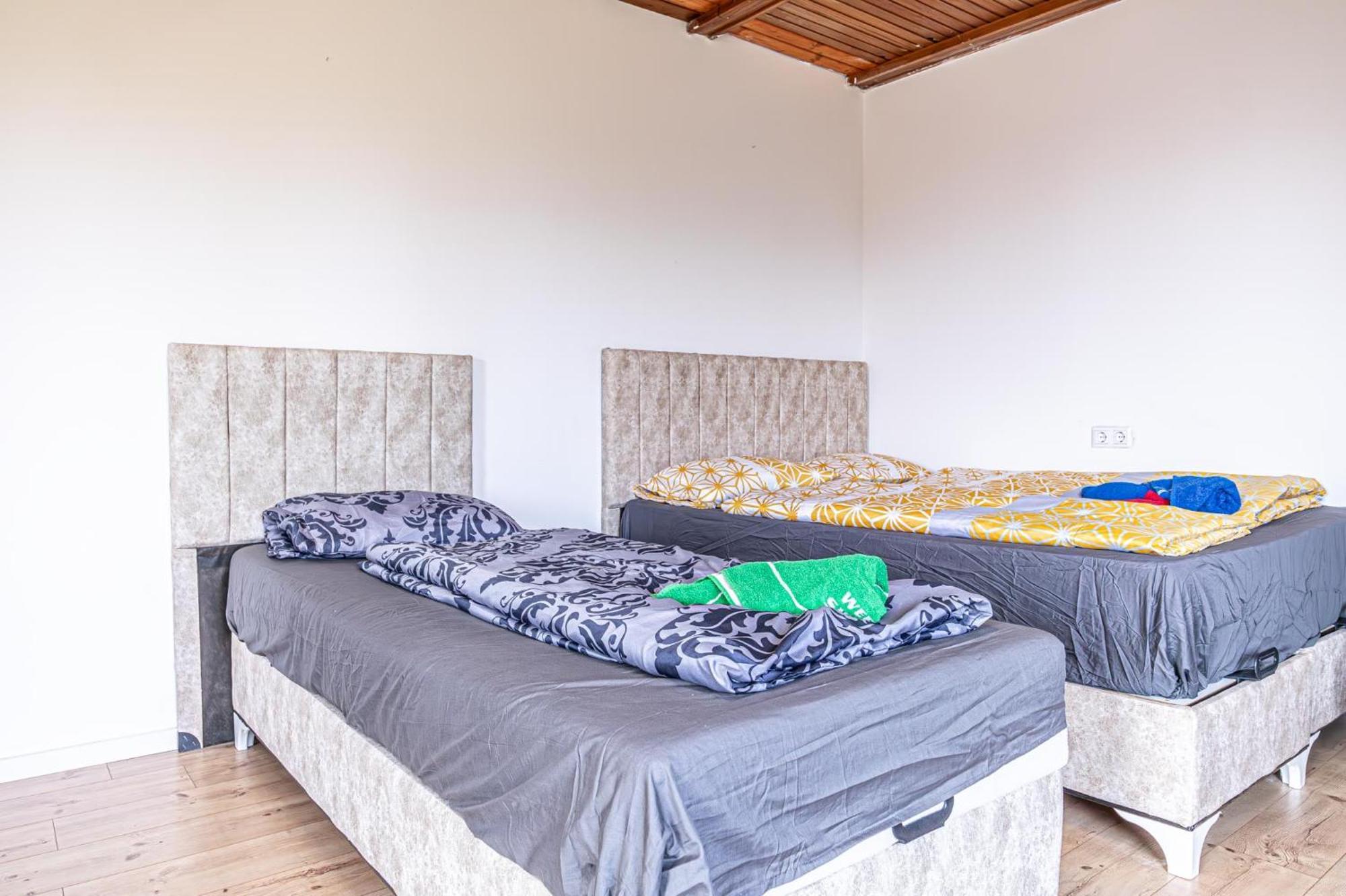 Hostel Comfy In Shared With Terrace And Garden