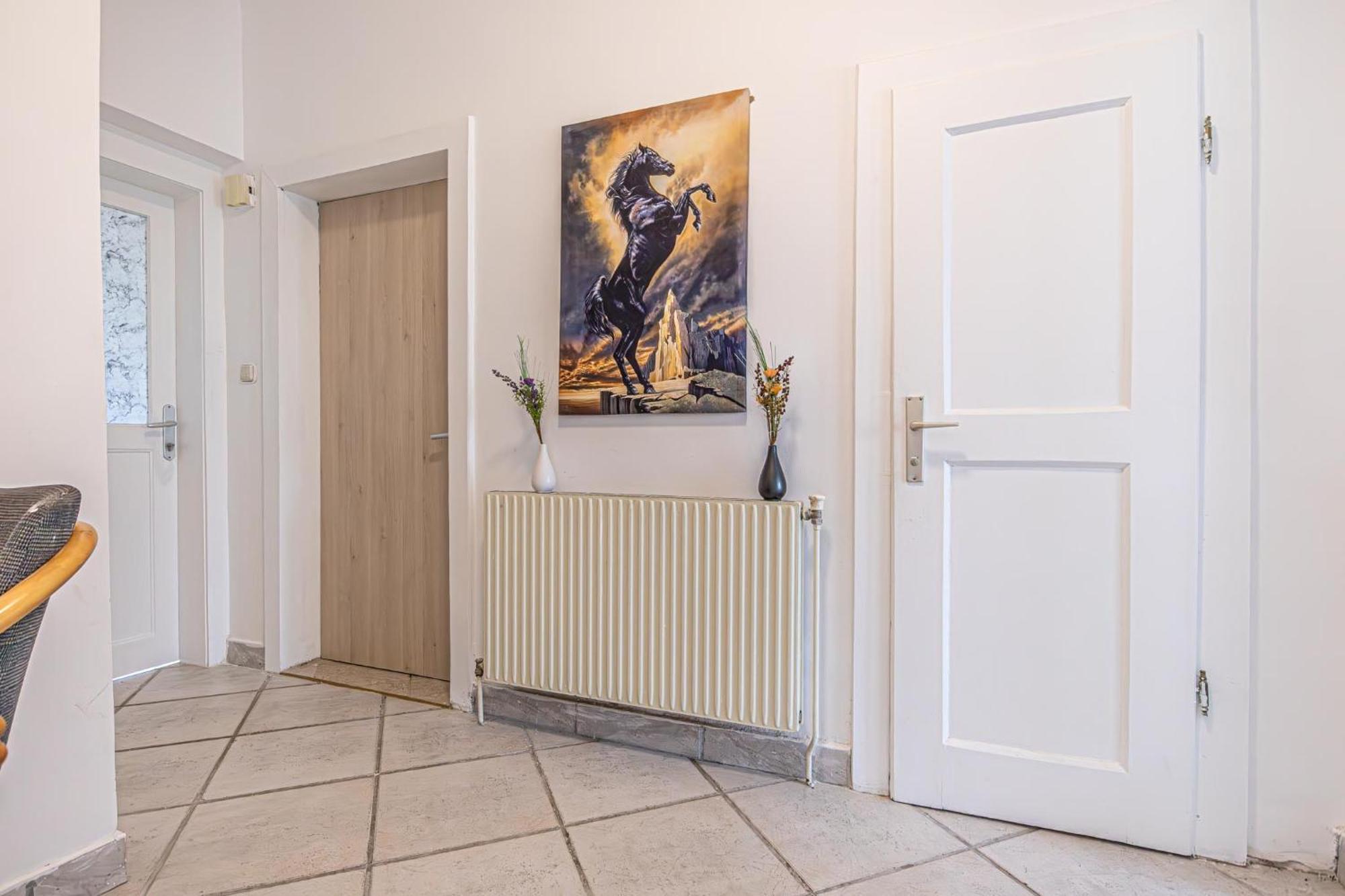Comfy In Shared With Terrace And Garden Hostel