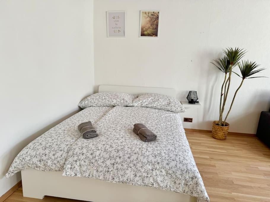110 M2 Sunny & Long Term - Free Parking Vienna