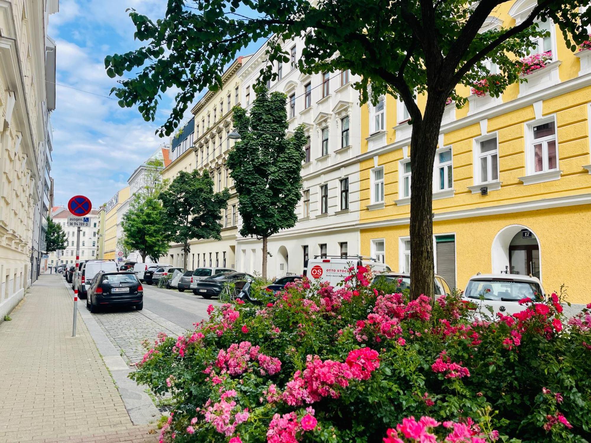 Cozy In The Heart Of - Next To Augarten!! Apartment