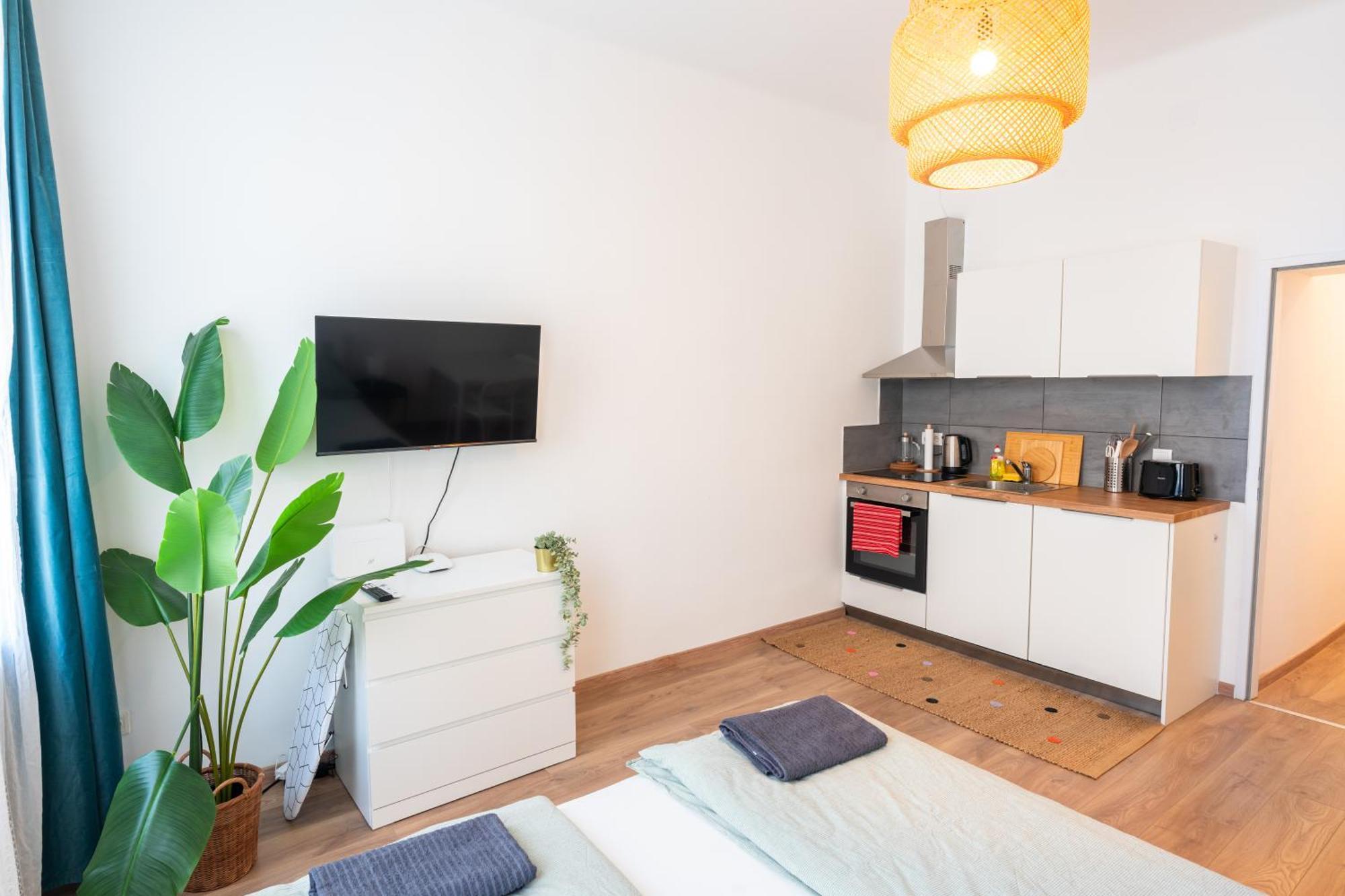 Apartamento 1110 Viena