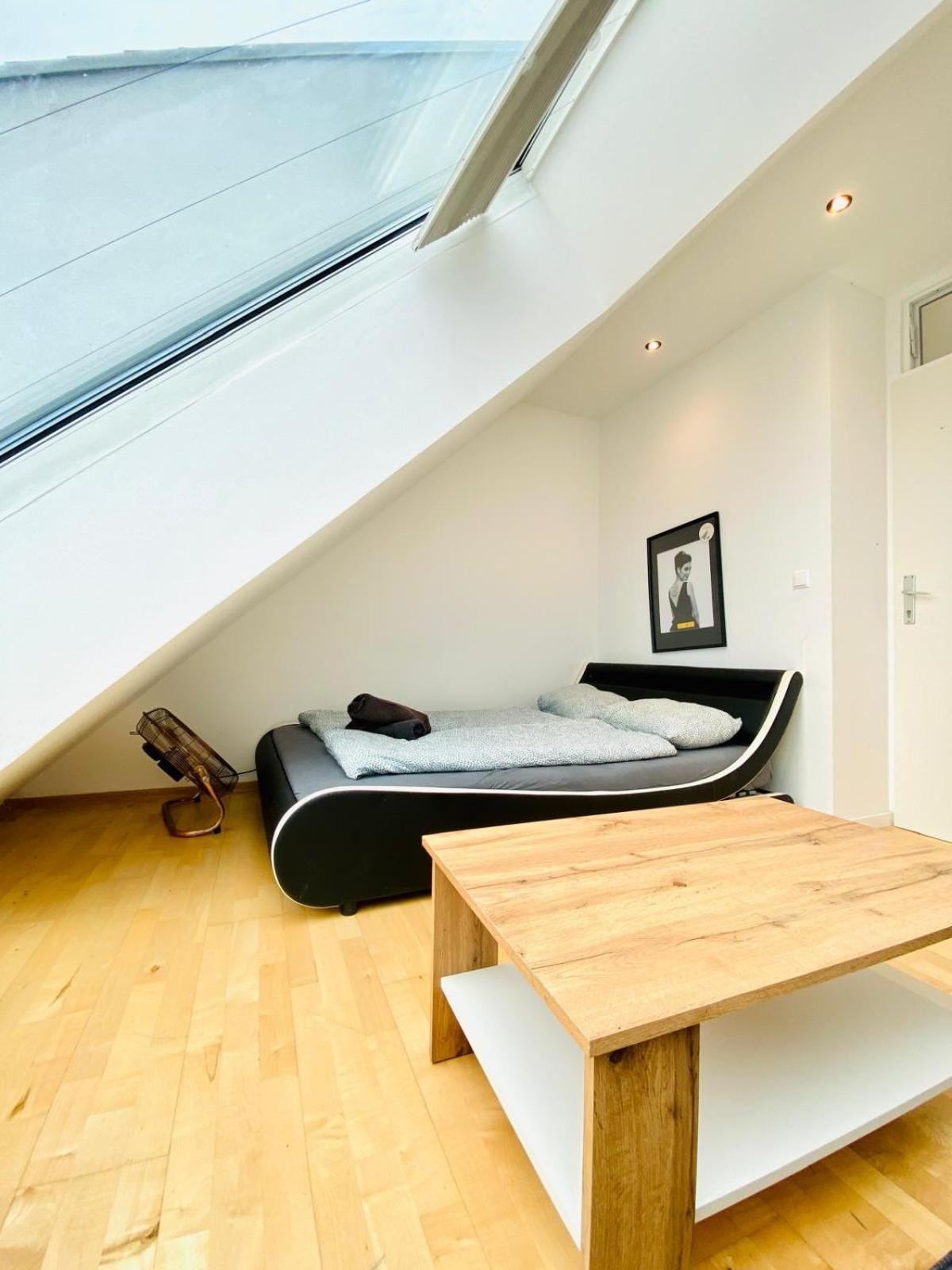Apartment Comfy Central 4-bedroom Shared With Two Levels Vienna