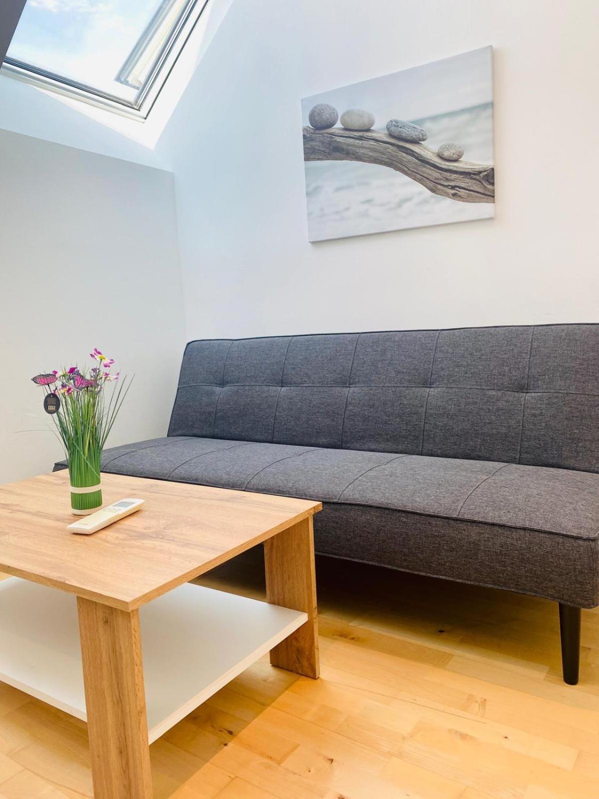 Apartment Comfy Central 4-bedroom Shared With Two Levels Vienna