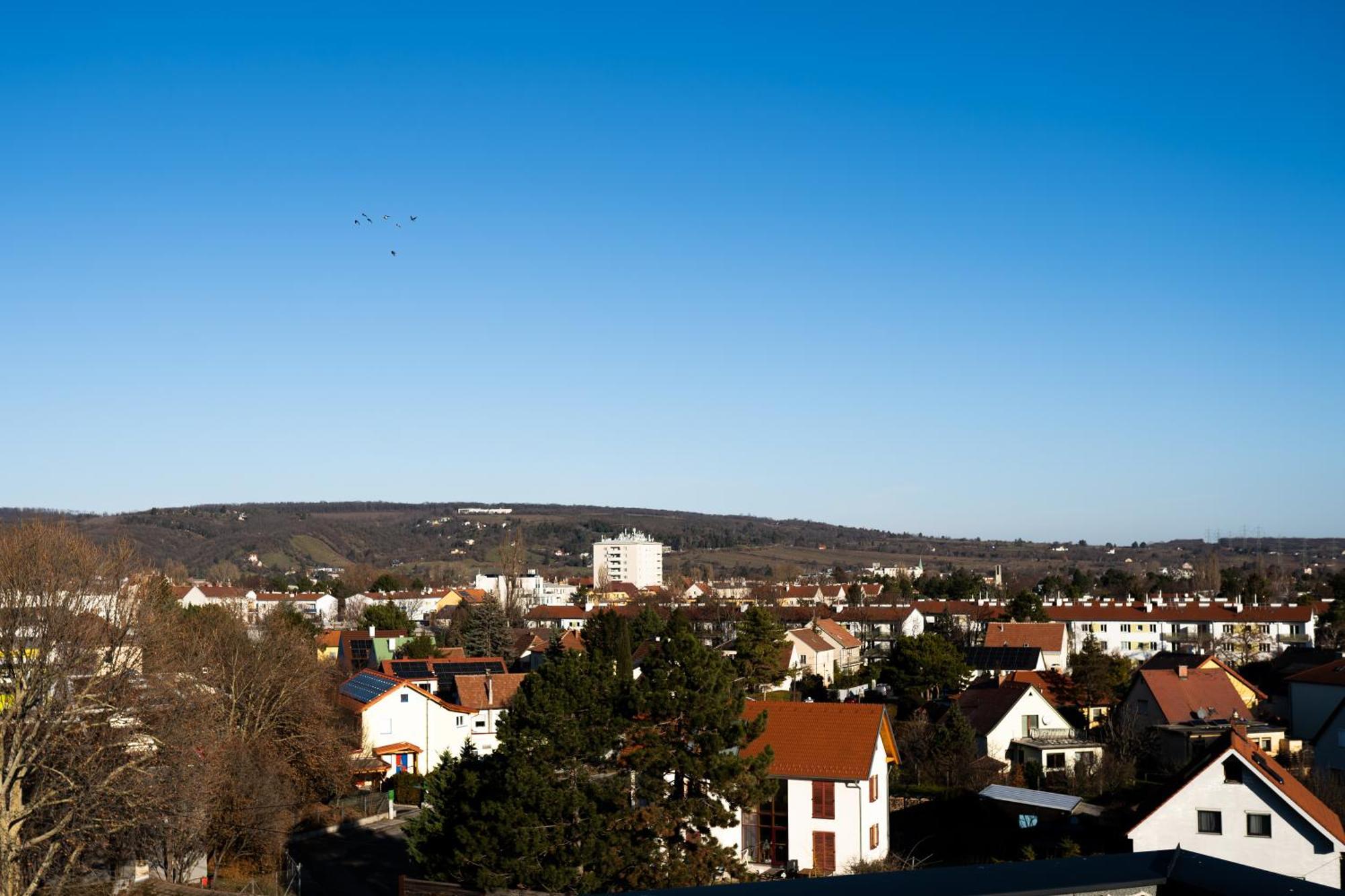 Design With Balcony & Free Parking Apartment Wien
