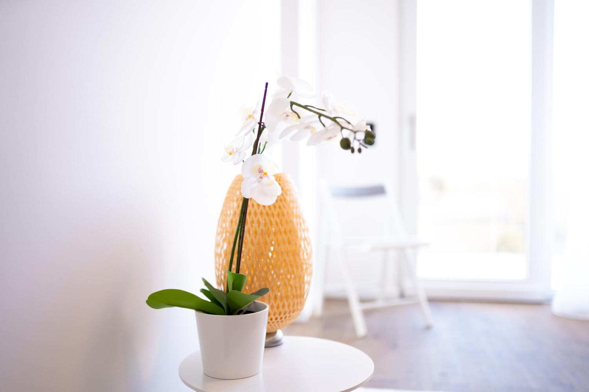 Design With Balcony & Free Parking Apartment *