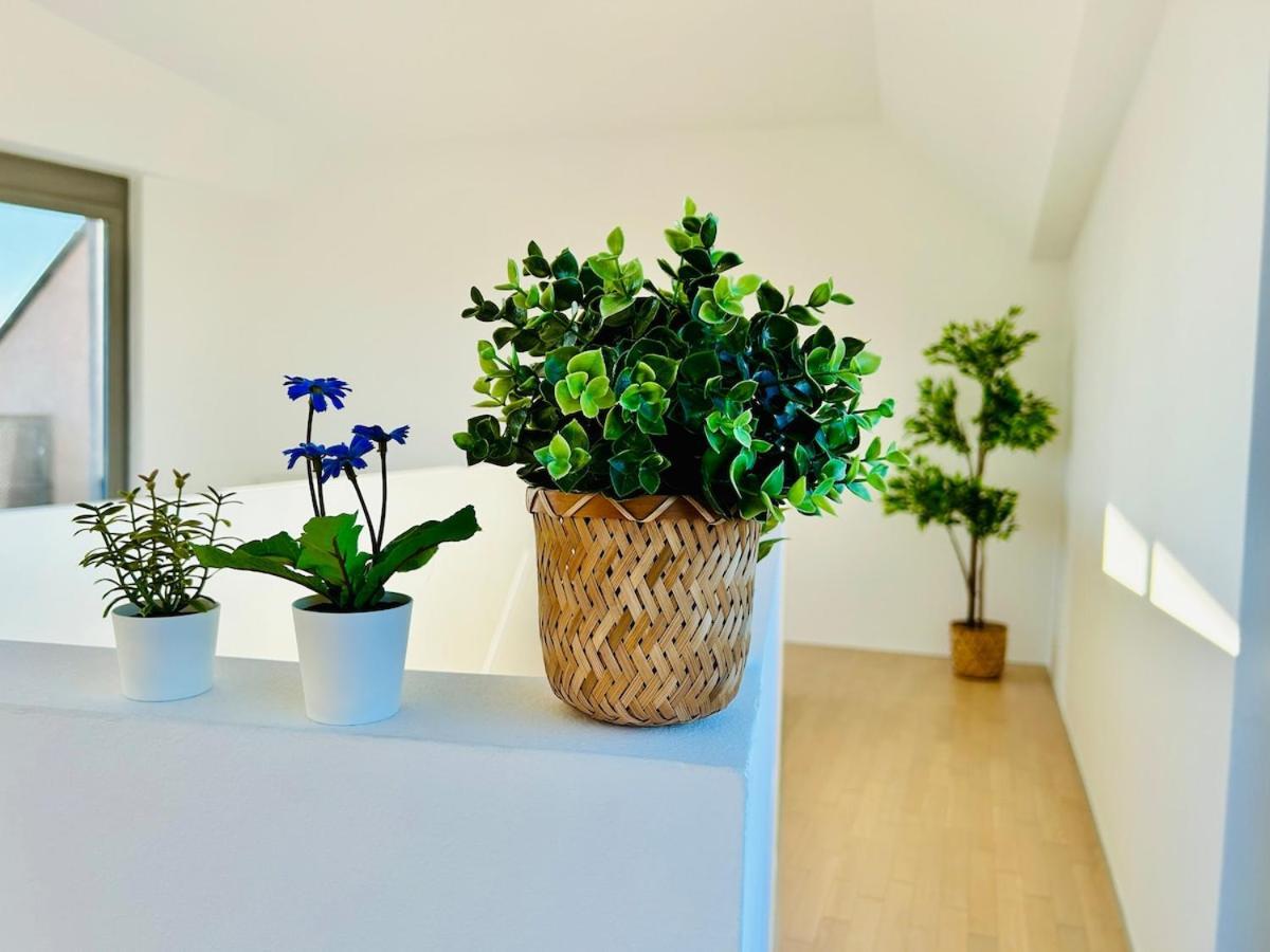 Modern 4 Room-apartment With Free Parking Vienna