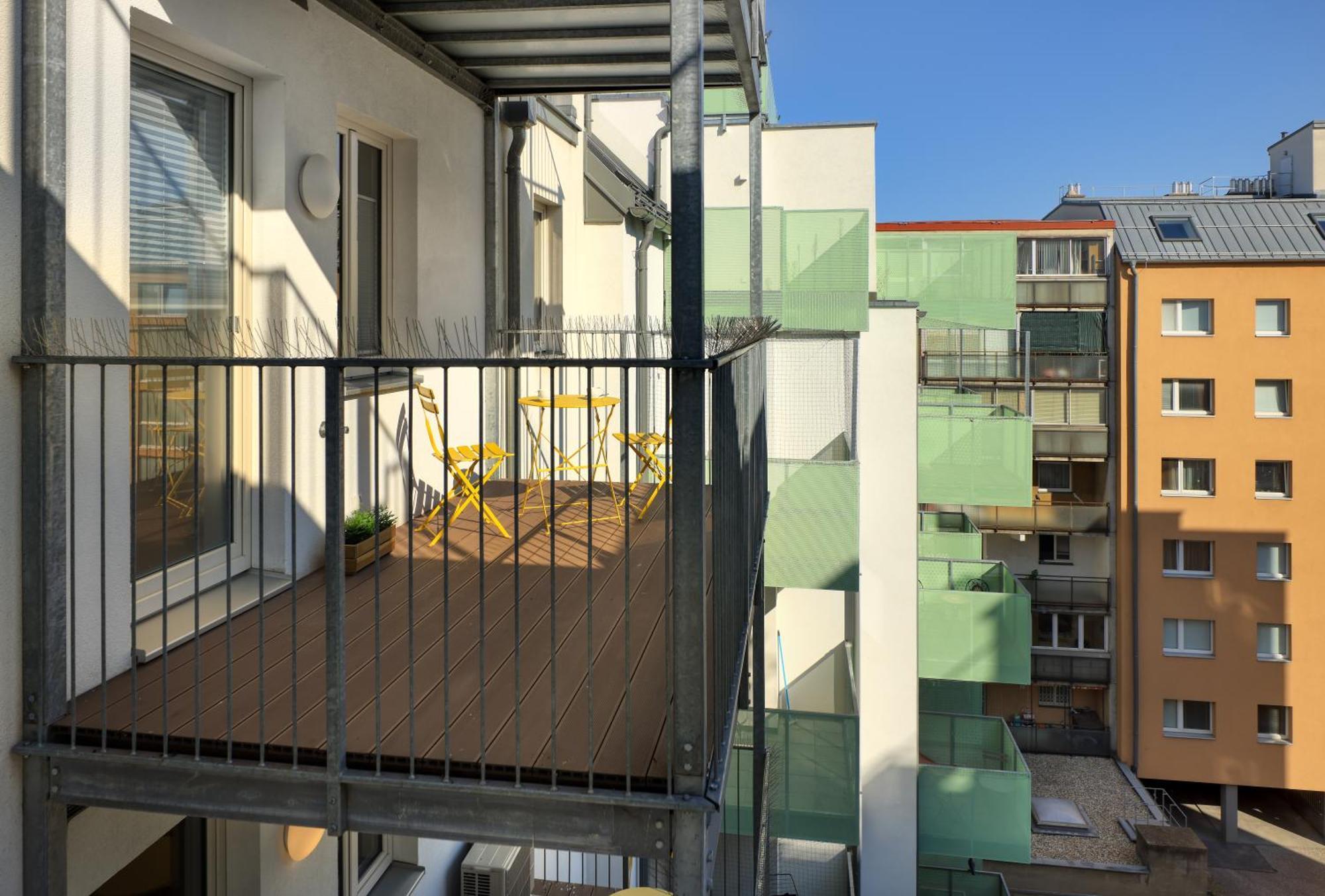 Jimmy's Dandelion 3* Vienna