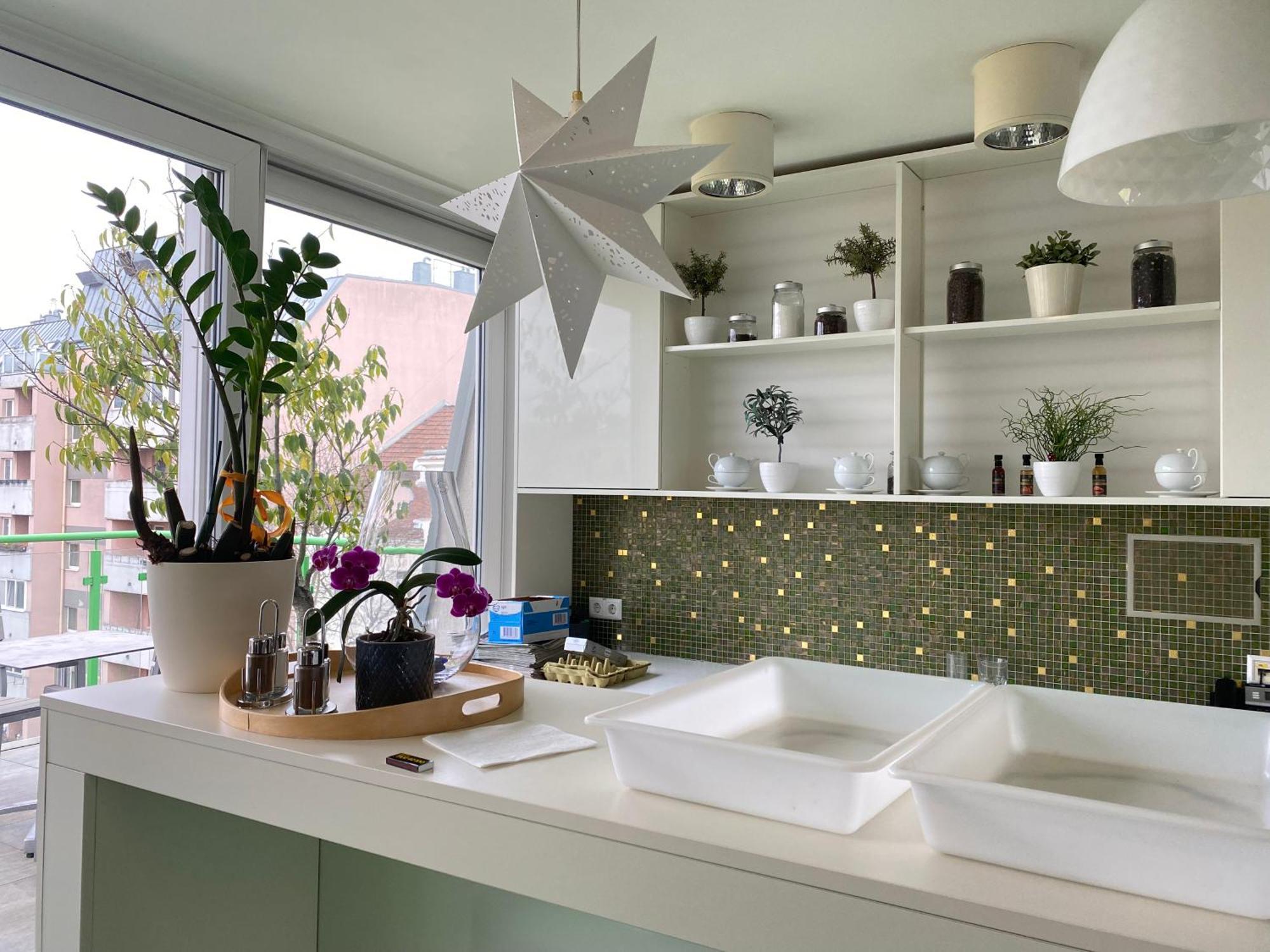 Design & Budget Schoenbrunn