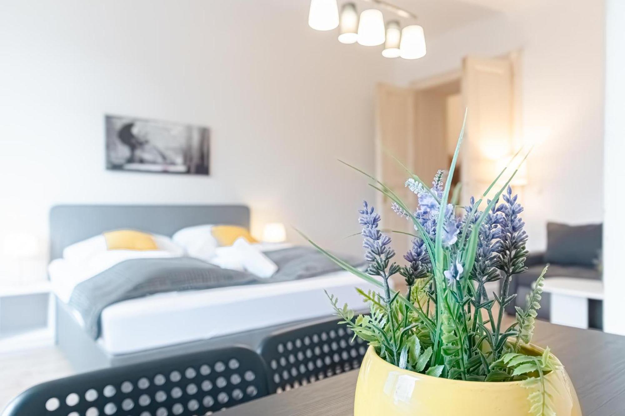Affordable 2 Apts For 16p 4br Great For Families * Vienna