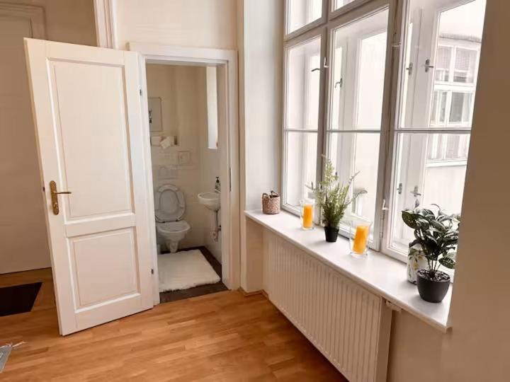 Grossraeumige Altbauwohnung Nahe Zentrum Viena