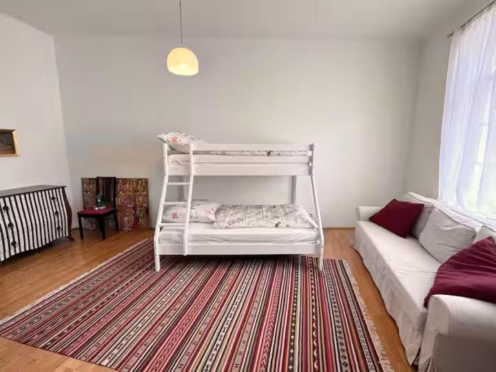 Grossraeumige Altbauwohnung Nahe Zentrum Apartamento *
