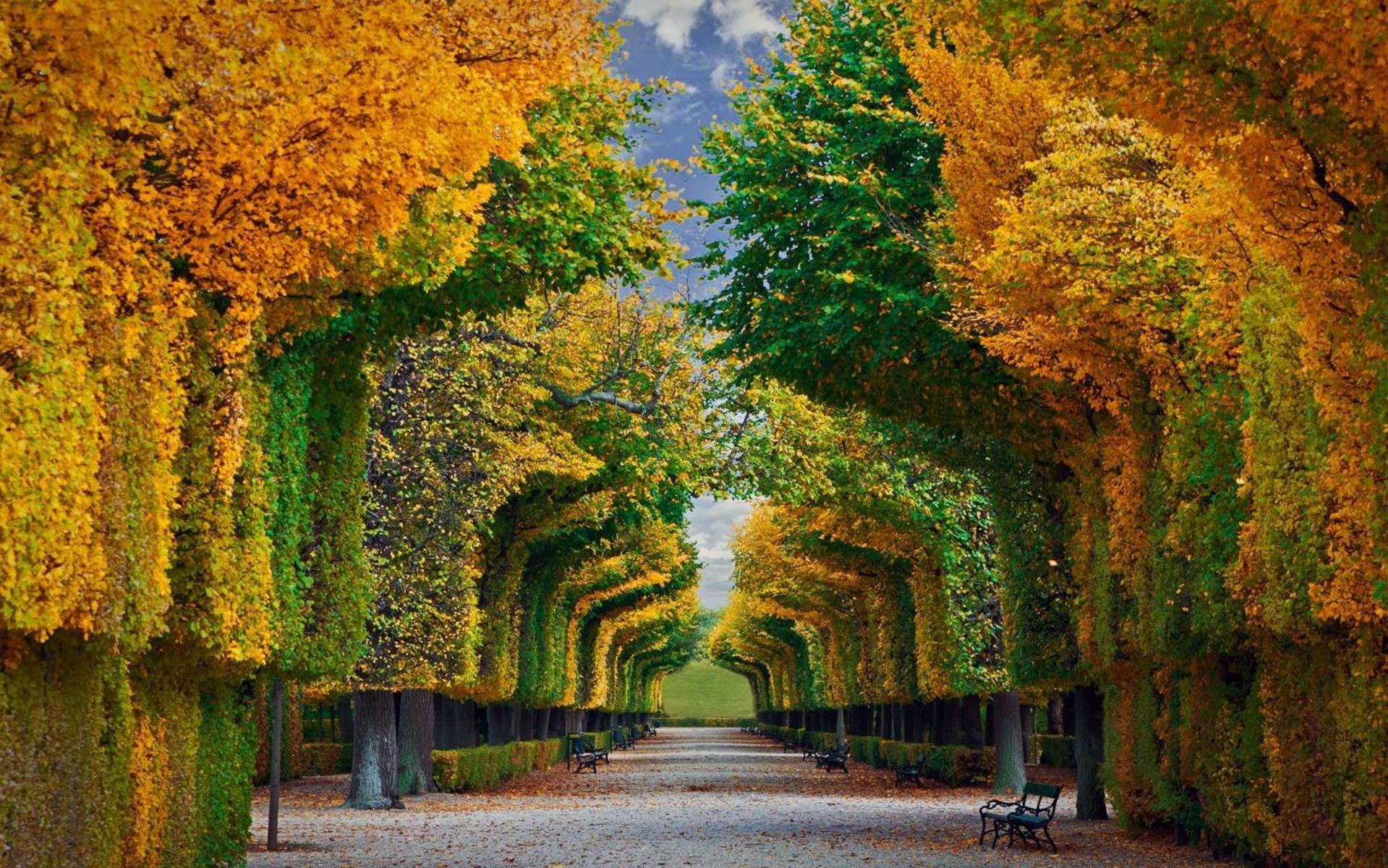 Regal Retreat Intimate Elegance Near Schoenbrunn Palace Apartment Wien