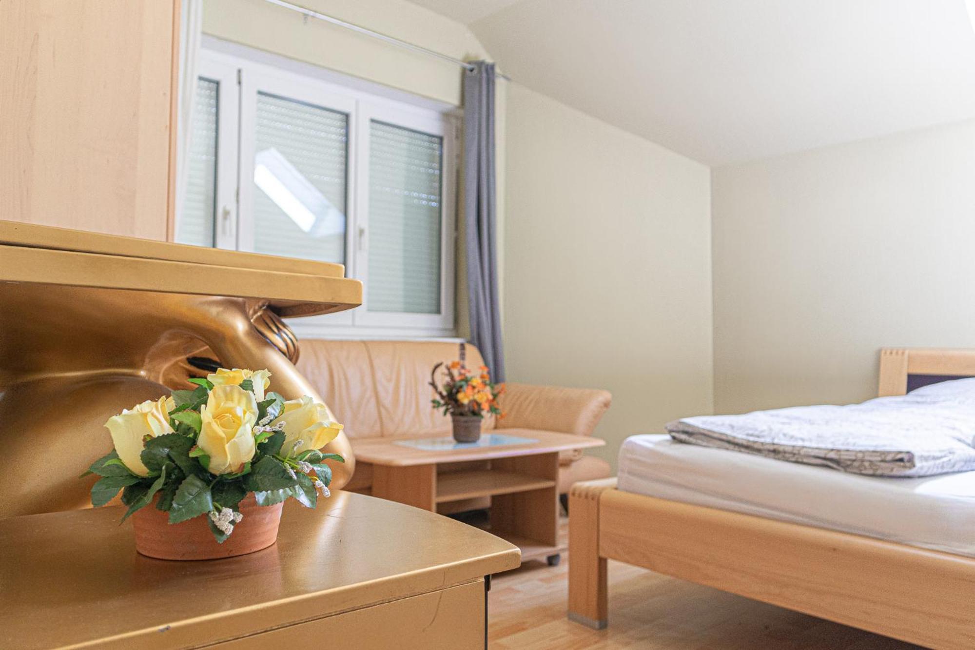 Exquisite In Shared With Garden & Parking Wien