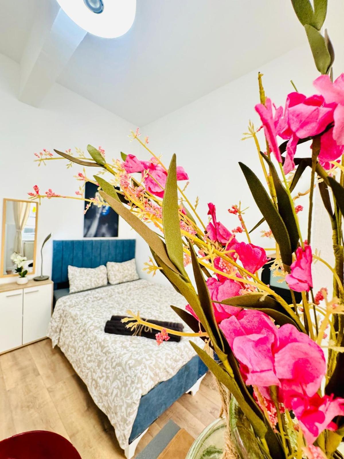 5br Apartment, Only 10min Walk To Matzleinsdorfer Platz