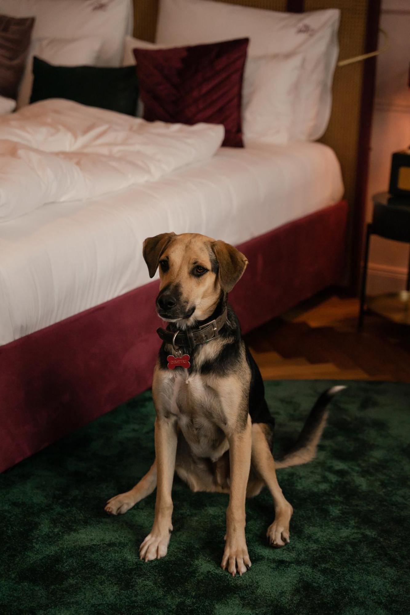Hotel Josefine