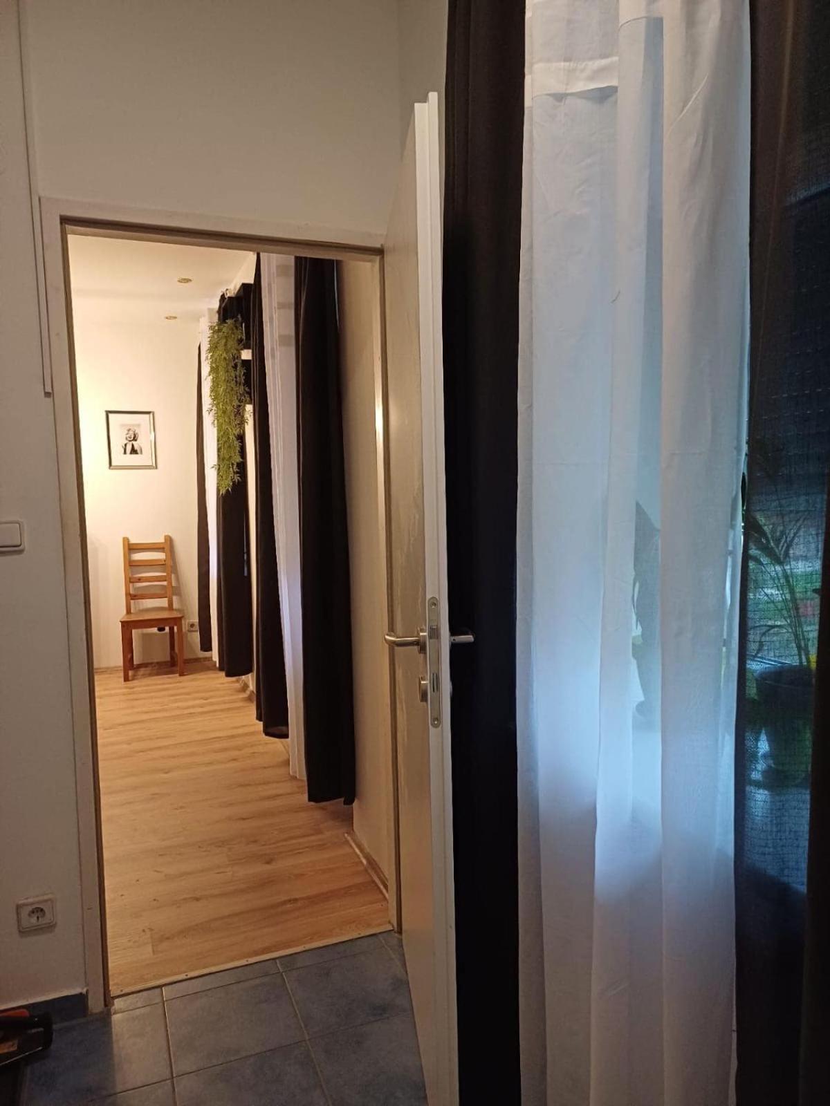 Apartment Vis A Vis Schoenbrunn With Private Parking *