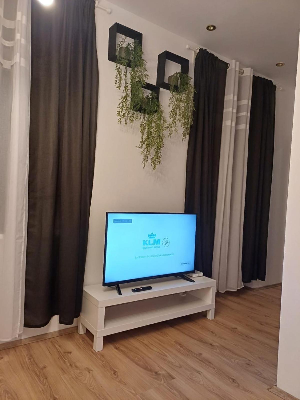 Vis A Vis Schoenbrunn With Private Parking Apartment Vienna