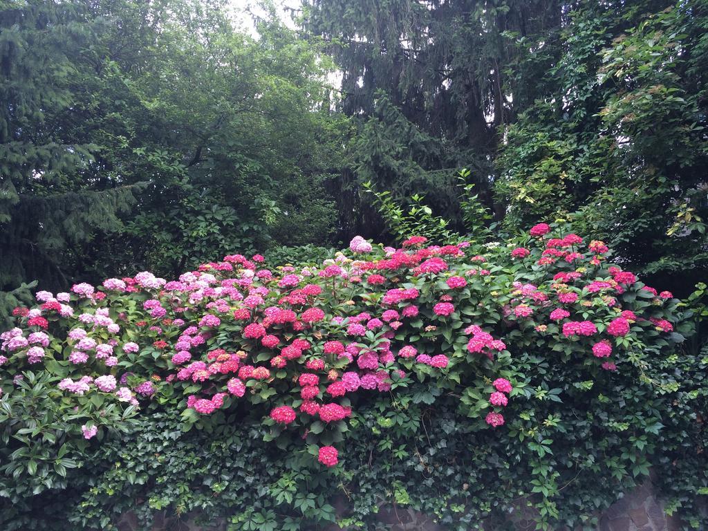 Exquisites Gartenapartment In Eleganter Jugendstilvilla Vienna