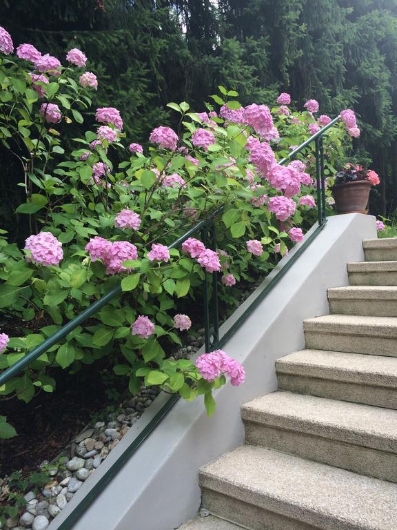 Exquisites Gartenapartment In Eleganter Jugendstilvilla Vienna
