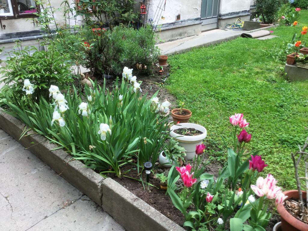 Guest house Ajo Vienna