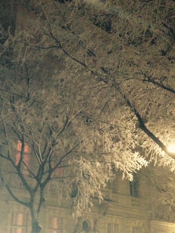 Charming Viennese * Wien