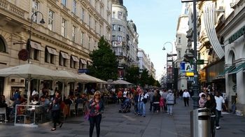 Goldfisch Opera House Vienna
