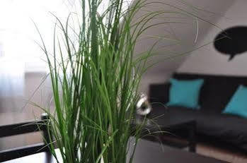 Hotel Urban Flats Danube 3*