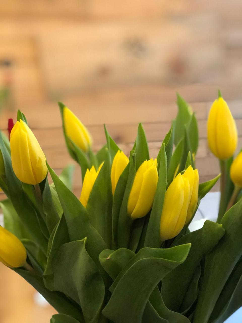 Hostel Boutique Zum Goldenen Kegel Vienna