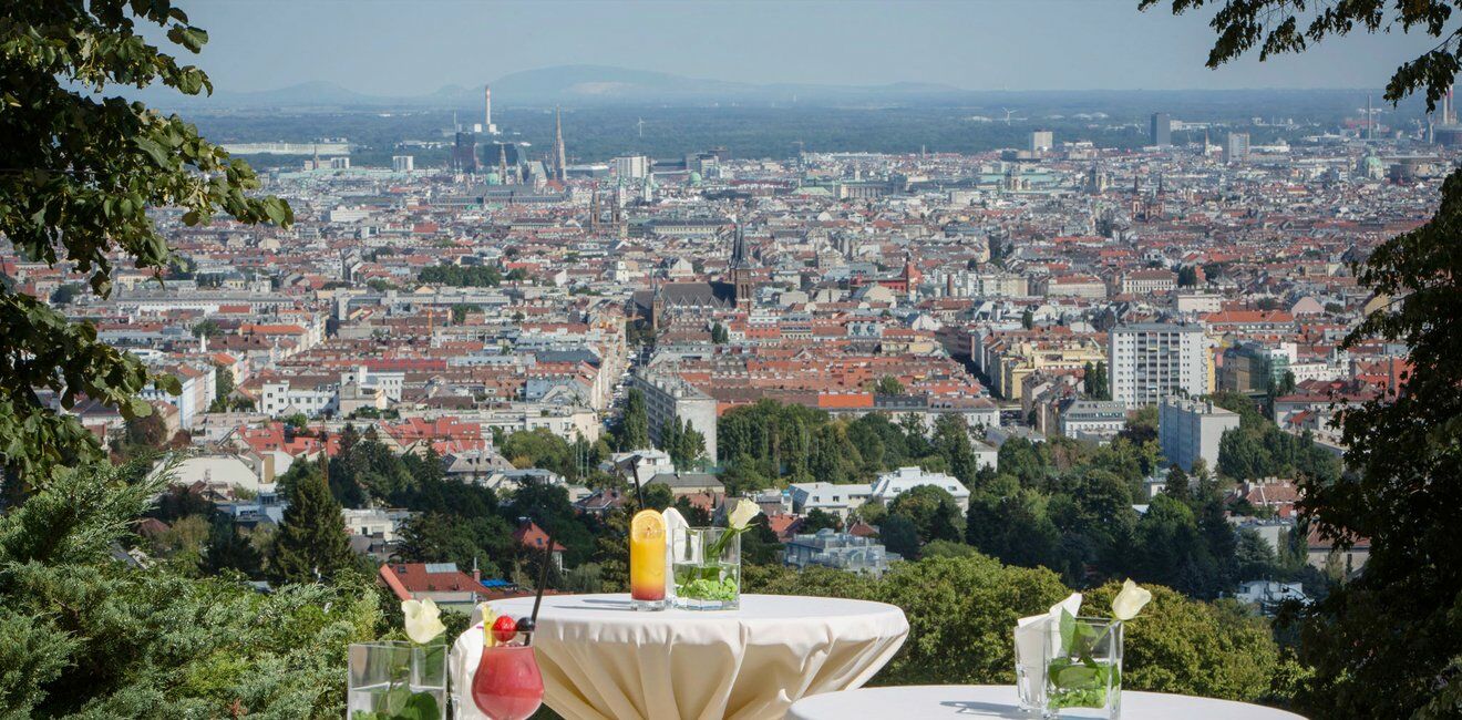 Austria Trend Schloss Wilhelminenberg 4* Vienna