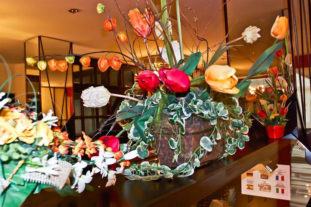 Hotel Mercure Raphael Vienna