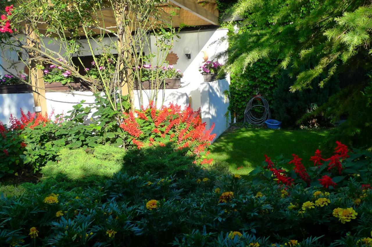 Apartment Rothauer Wien