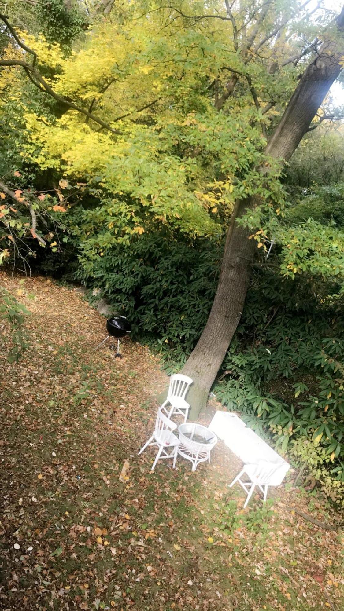 House Forest Apartment