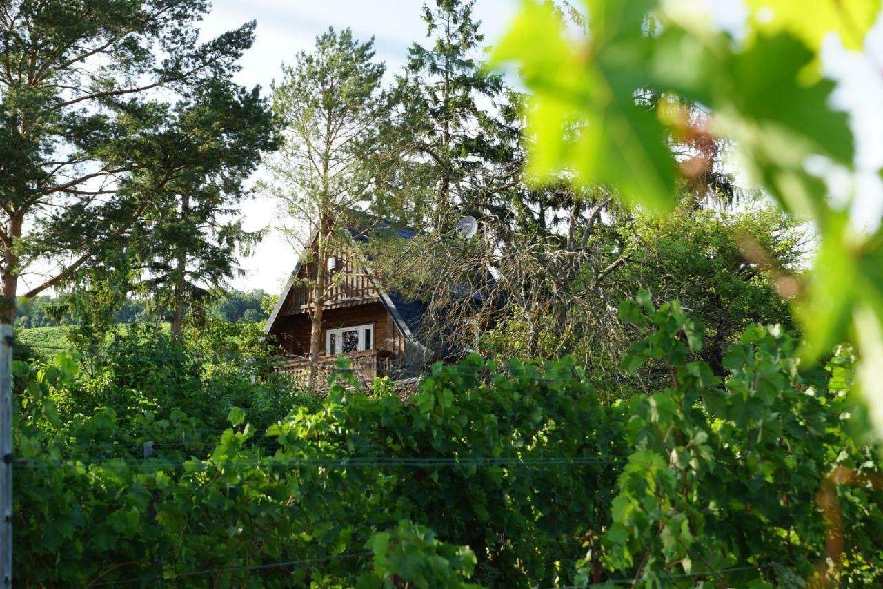 Vacationhome In The Vineyards Holiday home