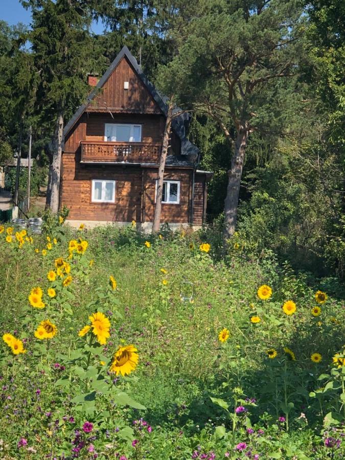 Vacationhome In The Vineyards * Vienna