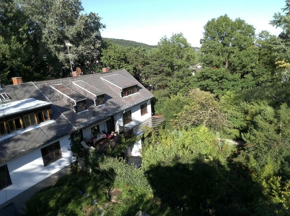 House Forest Apartment