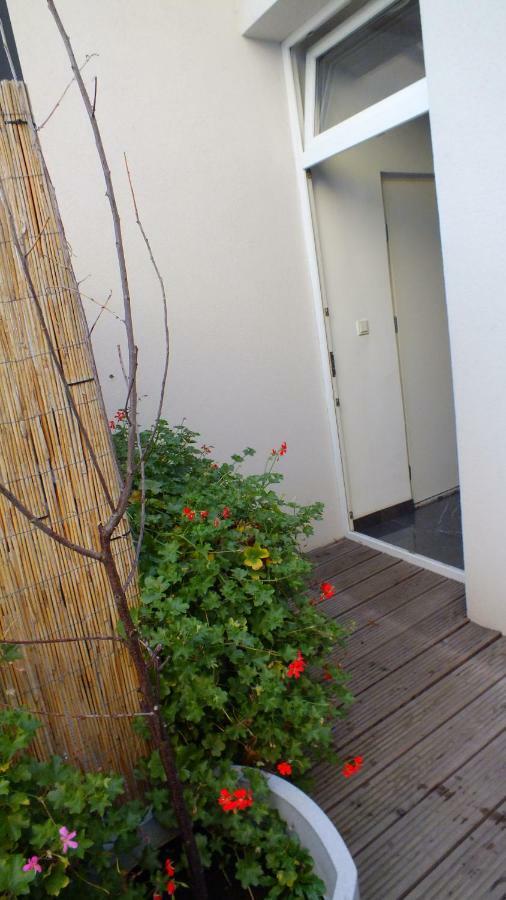 Royal Palace Apartment *