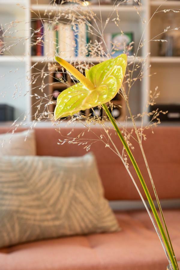 Apartment Vienna. Your Second Abroad *