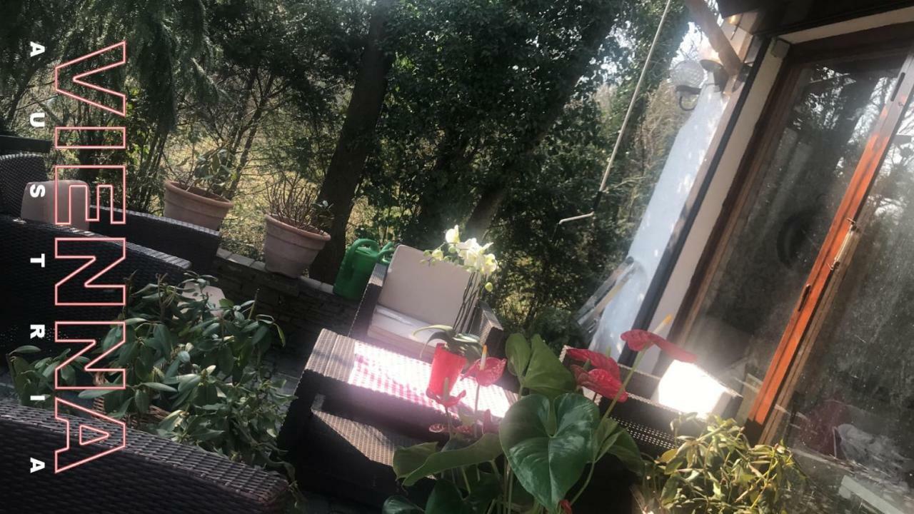 House Forest Apartment *