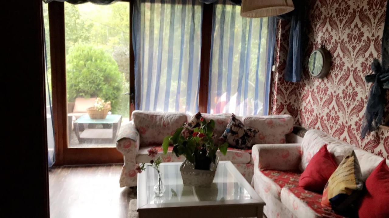 House Forest Apartment