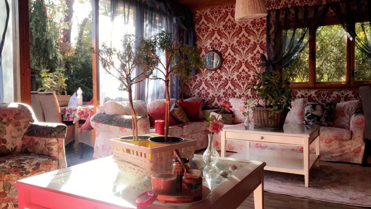 House Forest *
