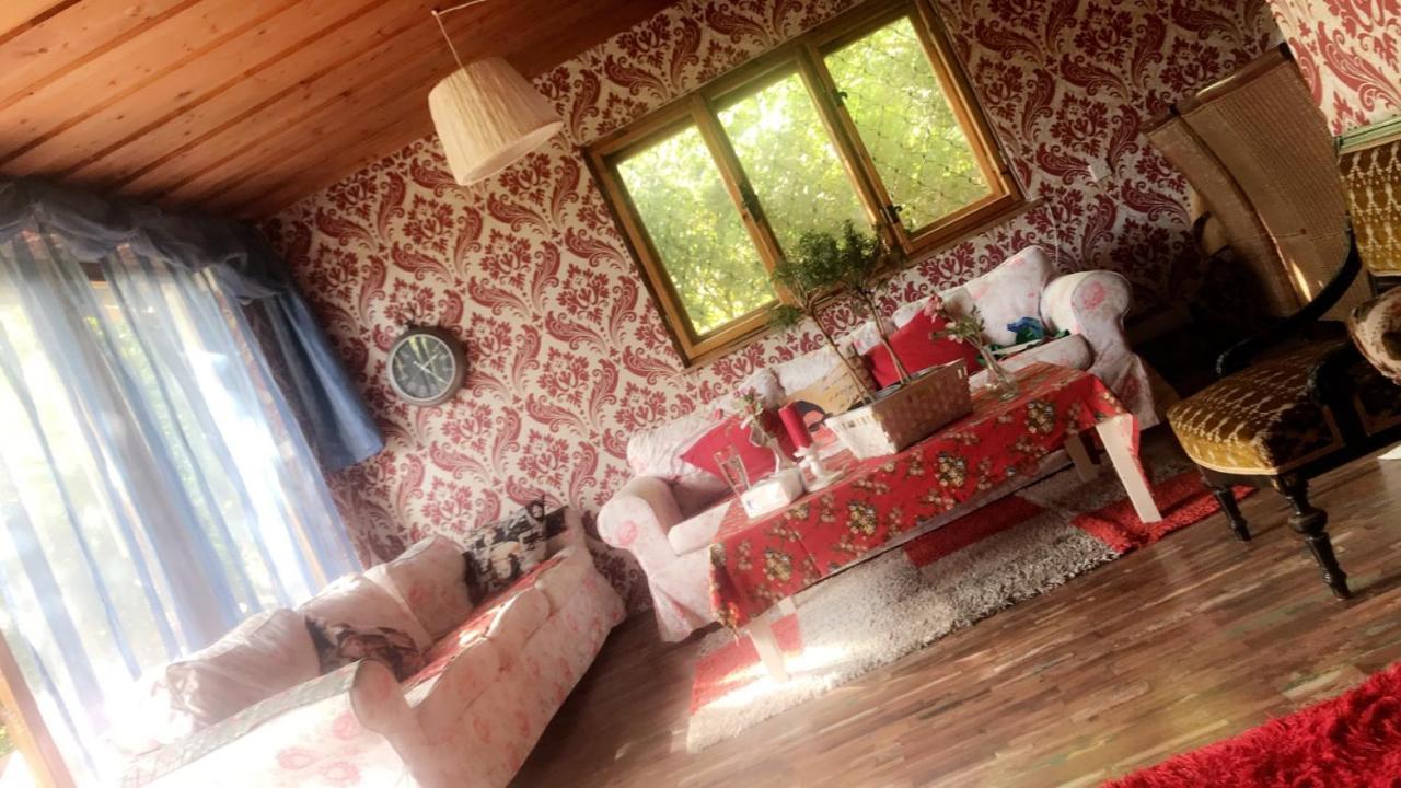 House Forest