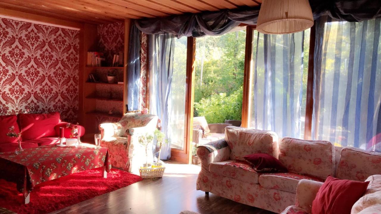 House Forest Apartment *