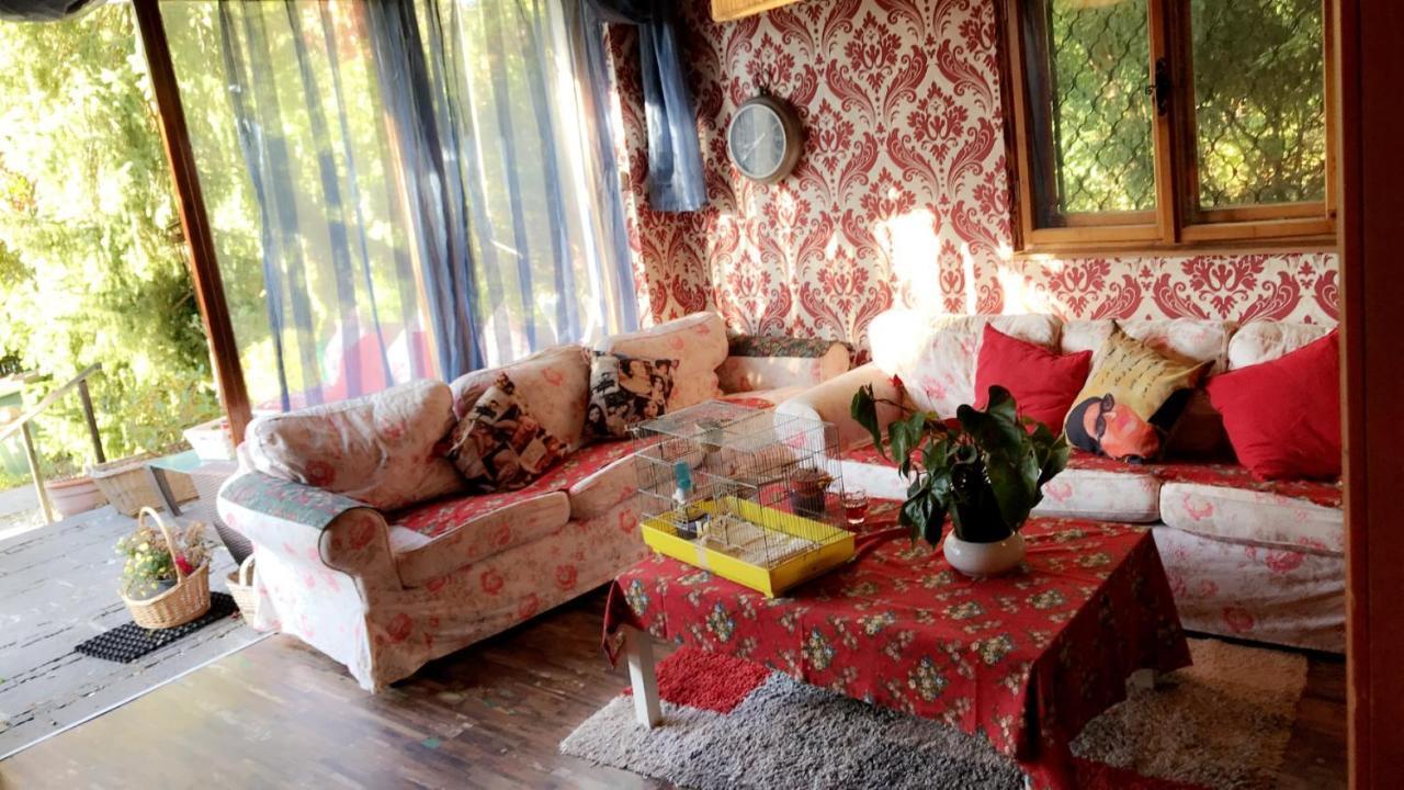 House Forest Apartment *