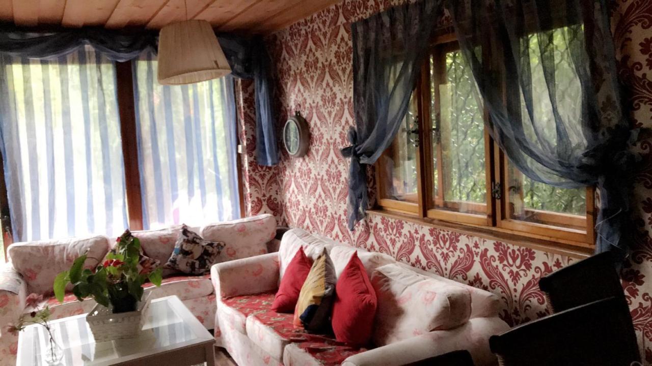 House Forest Apartment